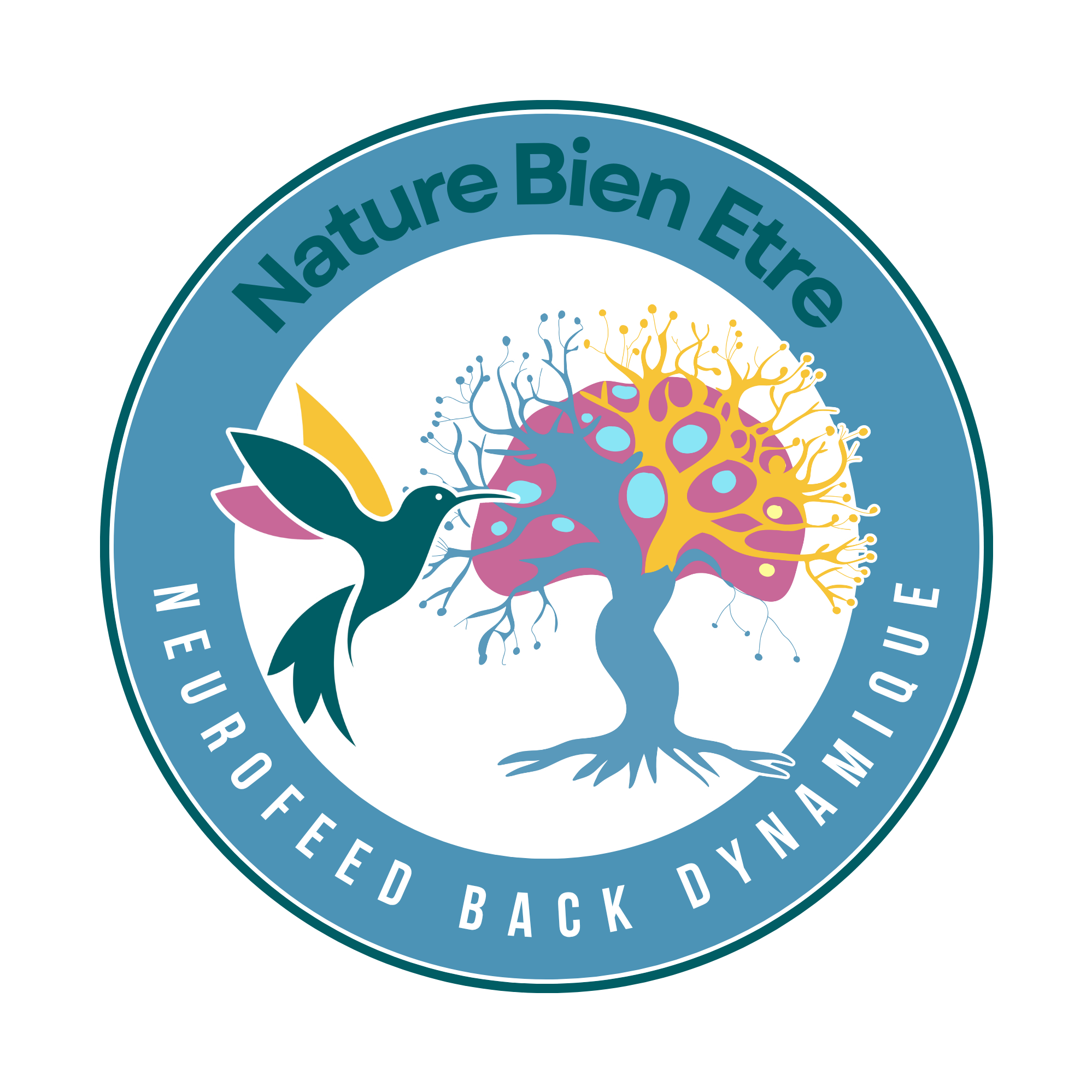 NBE – Neurofeedback Dynamique